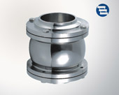 Flange check valve