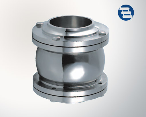 Flange check valve