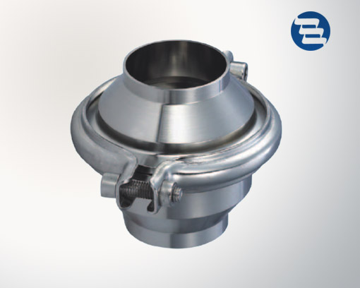 Welded check valve