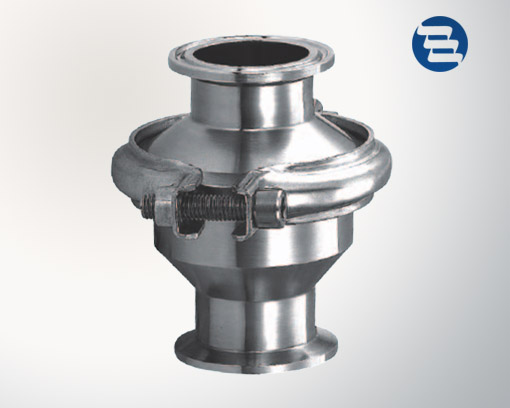 Clamp check valve