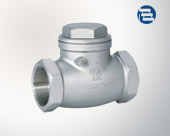 Threaded stainless steel check valve