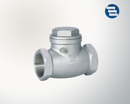 Threaded stainless steel check valve